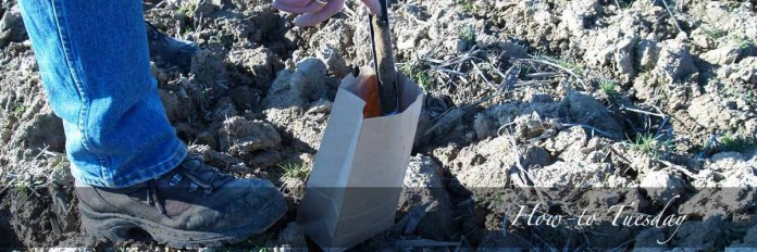 soil sample soil sample