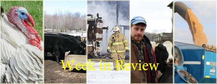 Week in Review 1/17 Week in Review 1/17