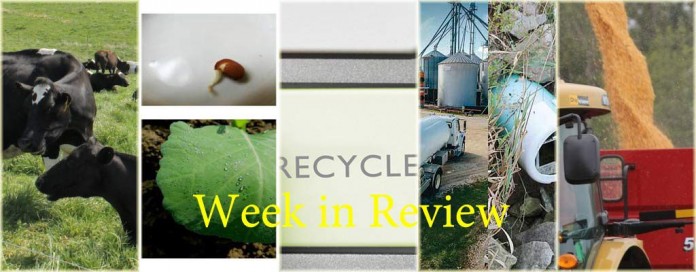 Week in Review 1/3 Week in Review 1/3