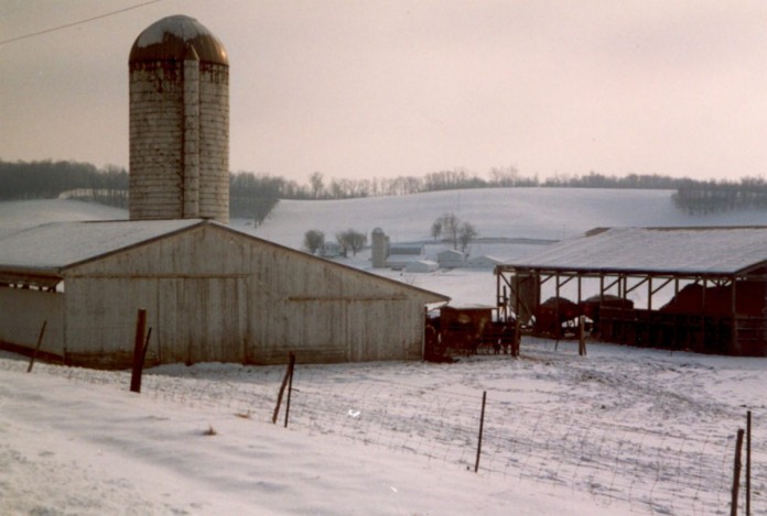 farmland in winter
