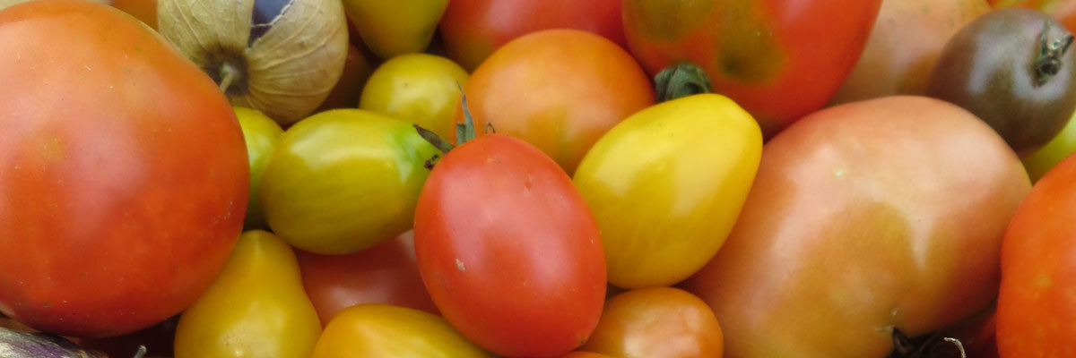 heirloom tomatoes