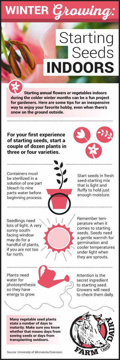 starting seeds indoors