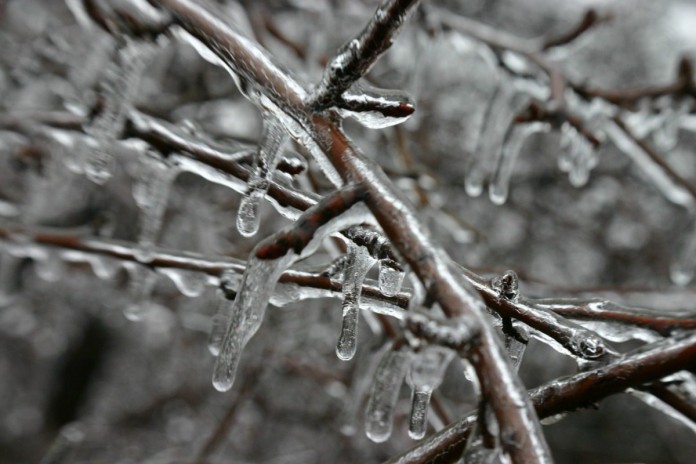 winter snow storm