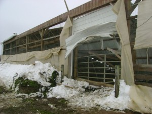 Barn Collapse 8