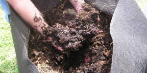 Compost Sak