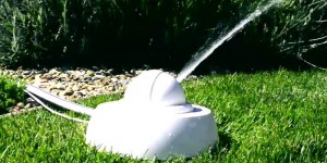 Droplet