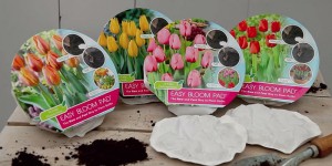 Easy Bloom Pads