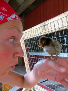 Ivory with poult