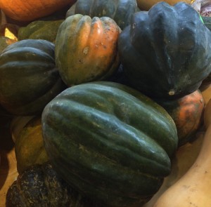 Winter squash