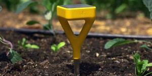 Edyn garden sensor