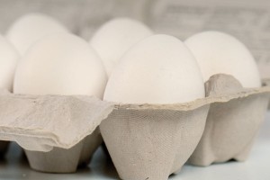 eggs