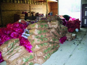 Donations to Kentucky