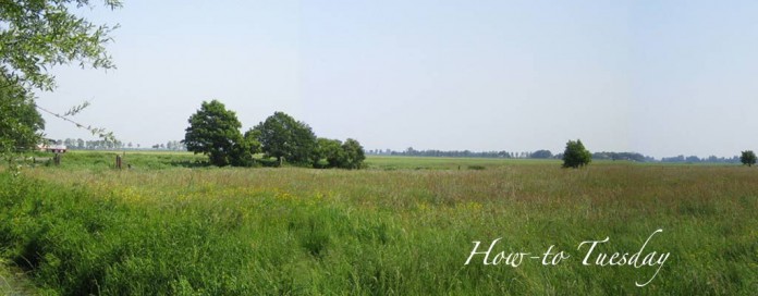 pasture pasture