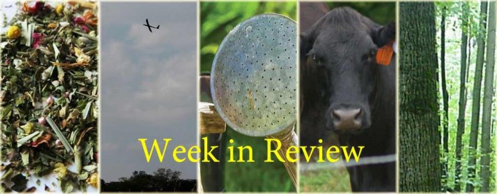 Week in Review 3/21 Week in Review 3/21