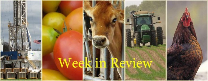 Week in Review 3/7 Week in Review 3/7