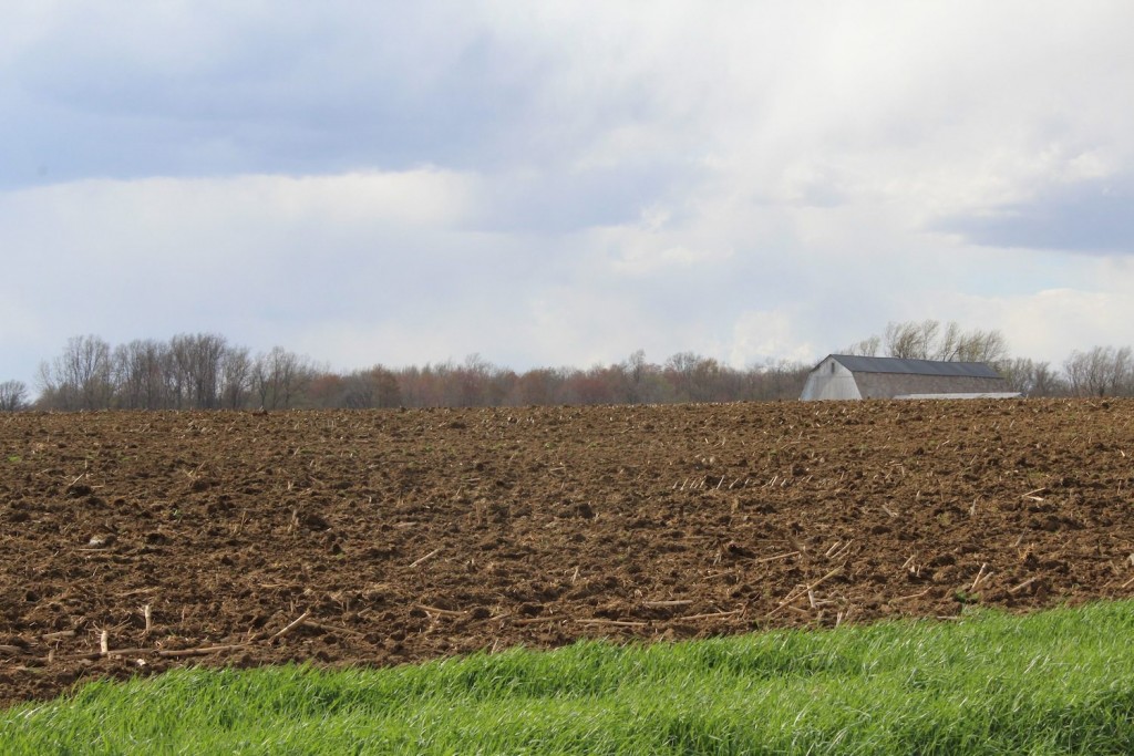 Nothing like the smell of freshly-tilled soil. Tillage has been slow this spring because of rain, but a few fields have been tilled.