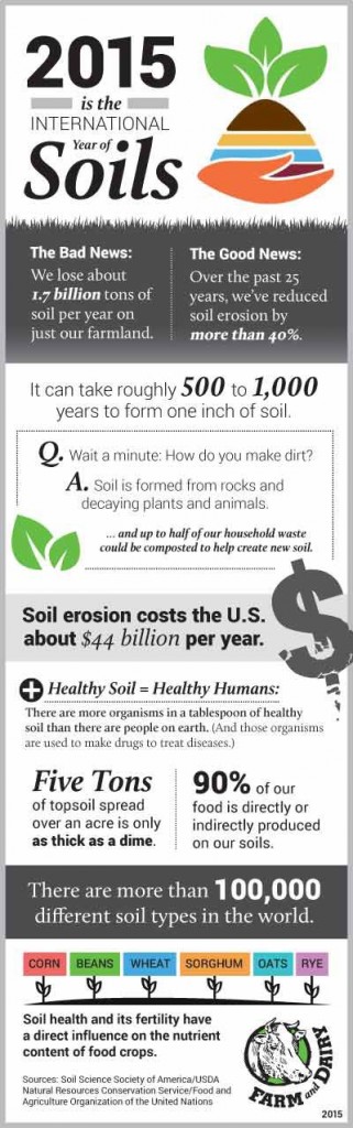 International Year of the Soils