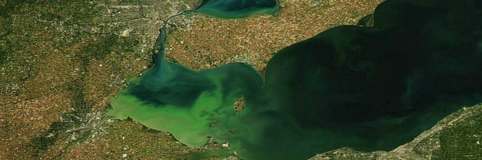 earth day algae.1200 Algal bloom