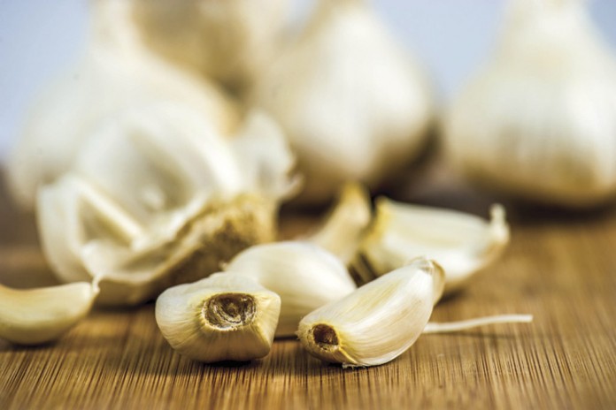 garlic Web