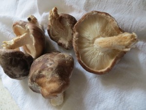 mushrooms
