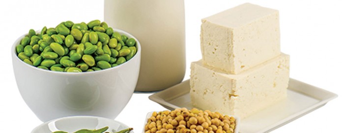 soy milk, tofu, soybeans