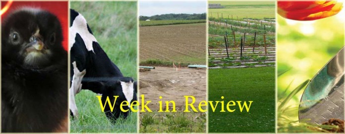 Week in Review 4/11 Week in Review 4/11