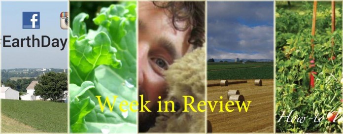 Week in Review 4/18 Week in Review 4/18