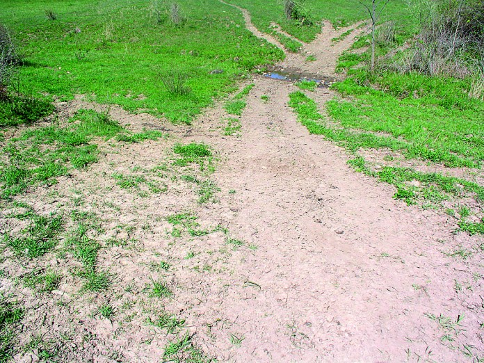 pasture pasture