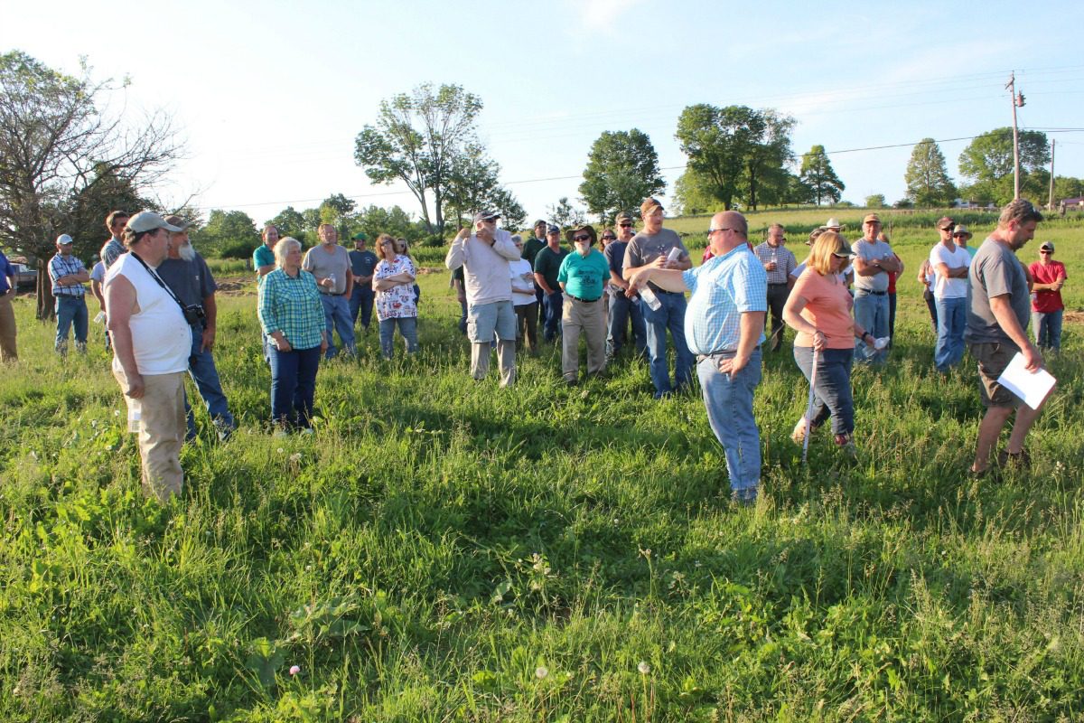 Pasture Walk Kenney