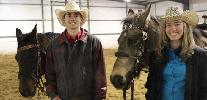 Rodeo Horses 1