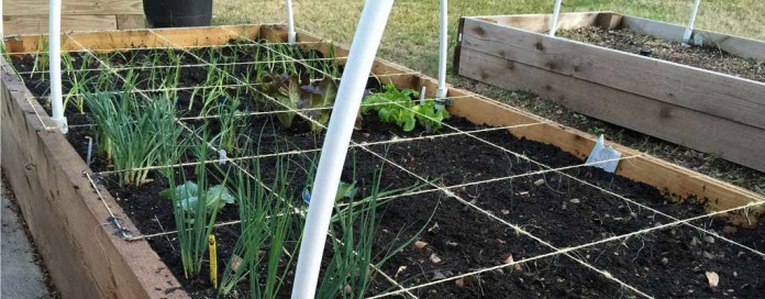 square foot garden square foot garden