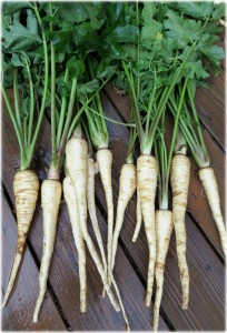 carrots