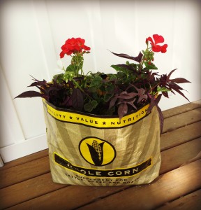 feed bag