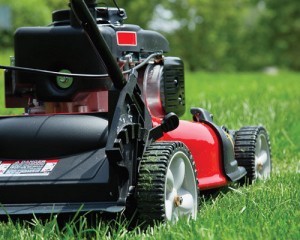 lawn mower