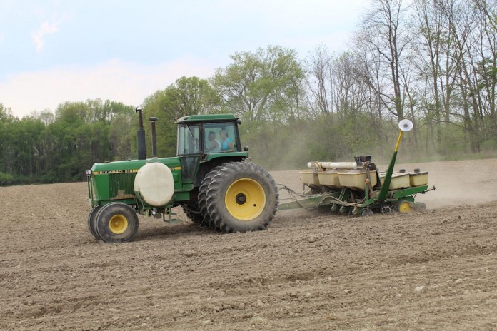 planting sideview planting field
