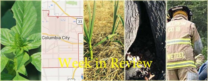 Week in Review 5/16 Week in Review 5/16