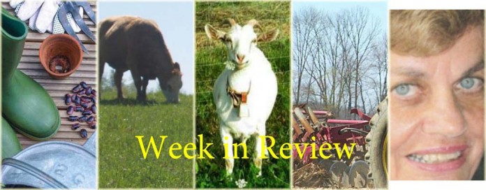 Week in Review 5/2 Week in Review 5/2