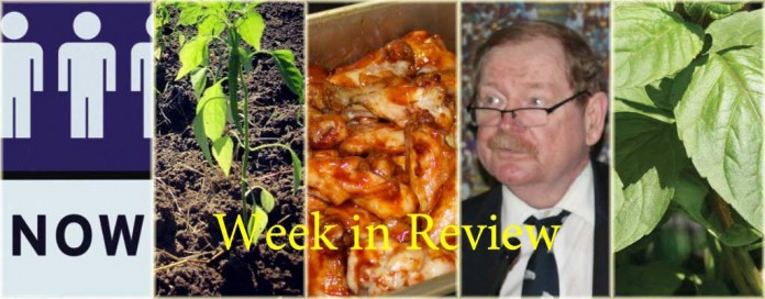 Week in Review 5/23 Week in Review 5/23