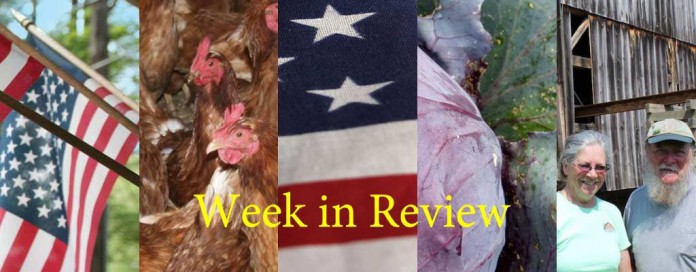 Week in Review 5/30 Week in Review 5/30