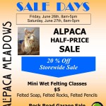 Summer-Sale-Days-2015