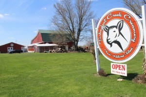 Turkeyfoot sign and property