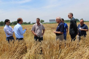 Brad Moffitt, (center right) speaks with foreign wheat traders at OARDC-Wooster.