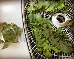dehydrated greens
