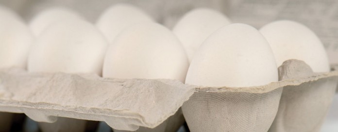 eggs in carton eggs in carton