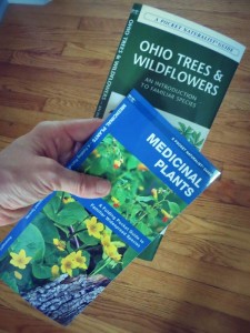 edible plant identification guides