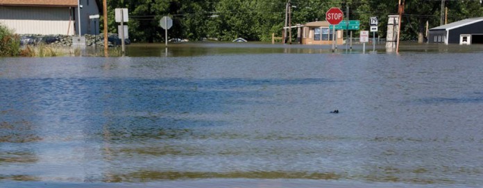flood flood