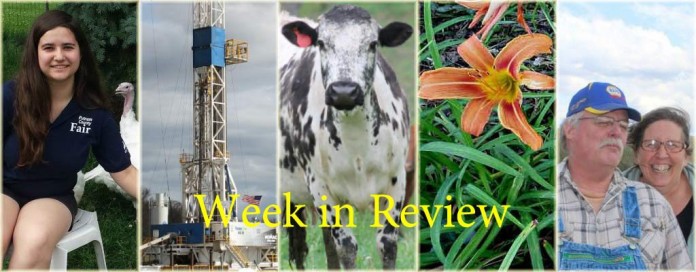 Week in Review 6/13 Week in Review 6/13