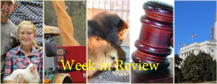Week in Review 6/6 Week in Review 6/6