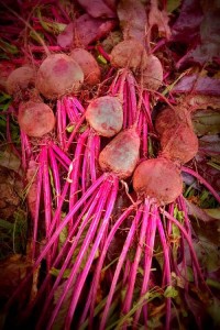 beets