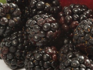 blackberries